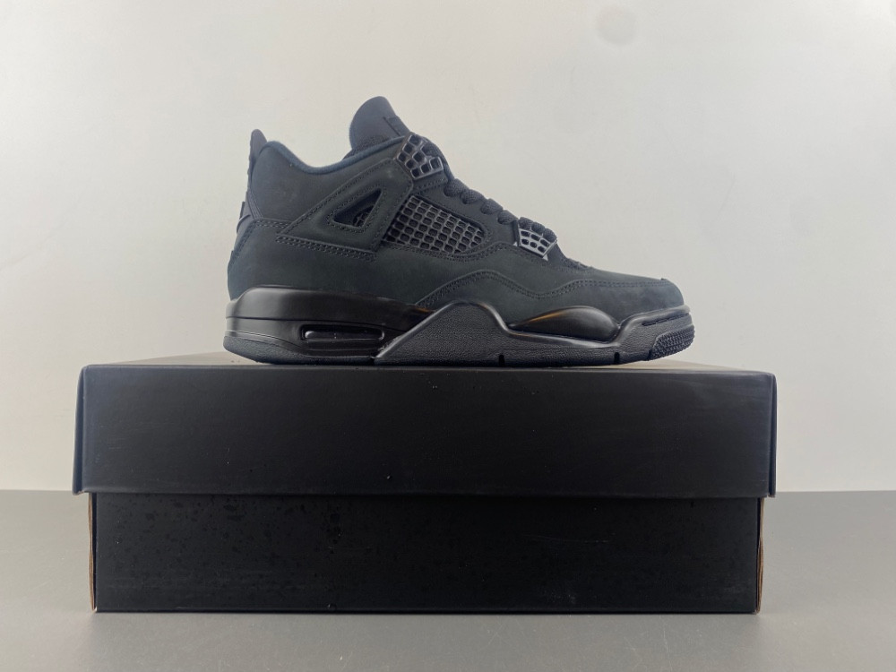 Air Jordan 4 “Black Cat” FV5029-010