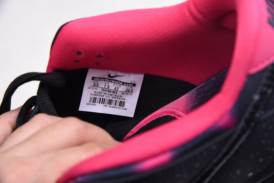 Nike Dunk SB Low Premier "Northern Lights" 724183-063