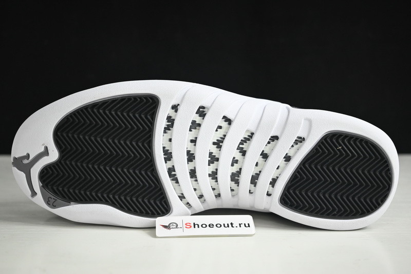 Air Jordan 12 CT8025-610