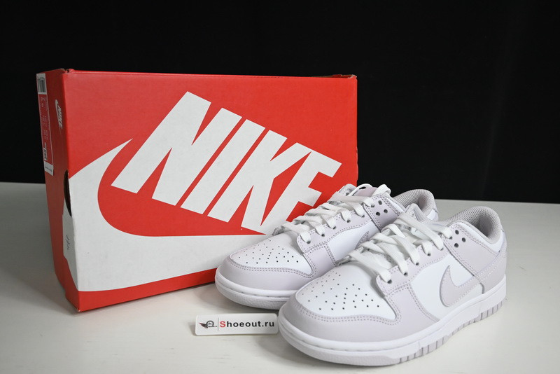 Nike Dunk Low WMNS “Venice” DD1503-116