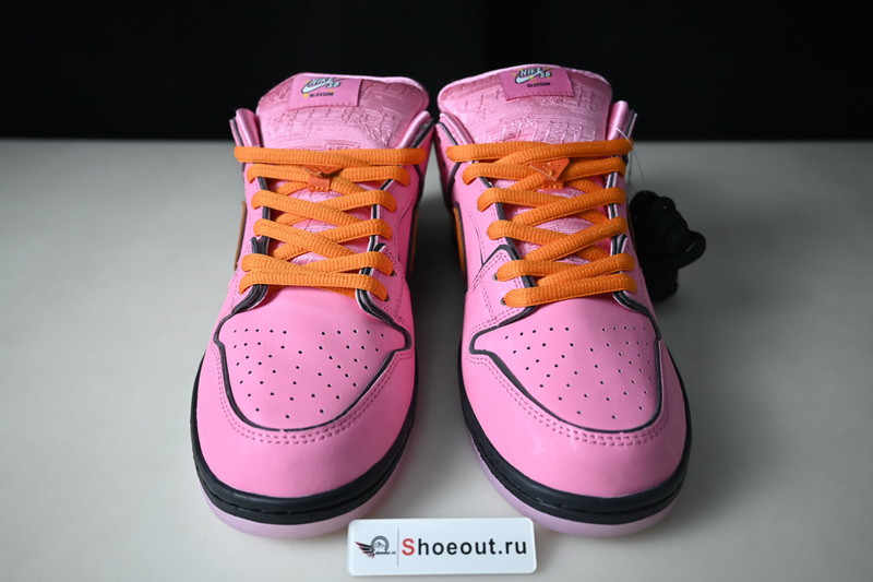 The Powerpuff Girls x Nike SB Dunk Low “Blossom” FD2631-600