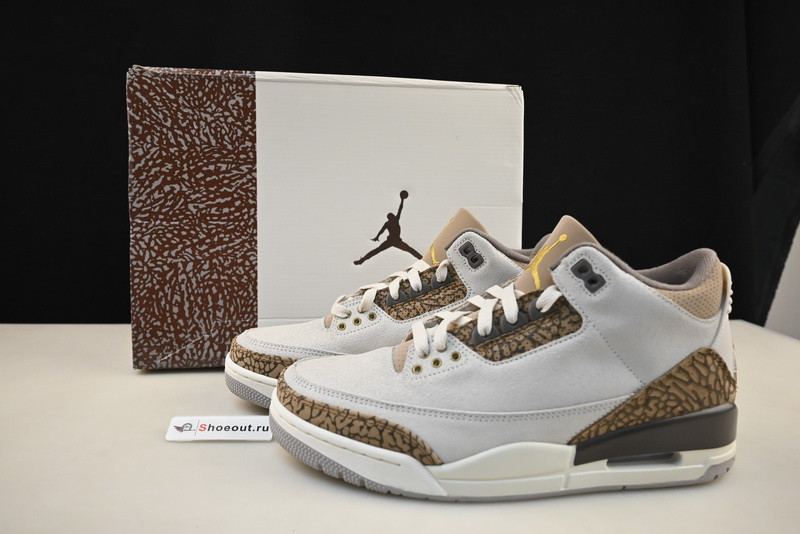 Air Jordan 3 “Palomino” CT8532-102
