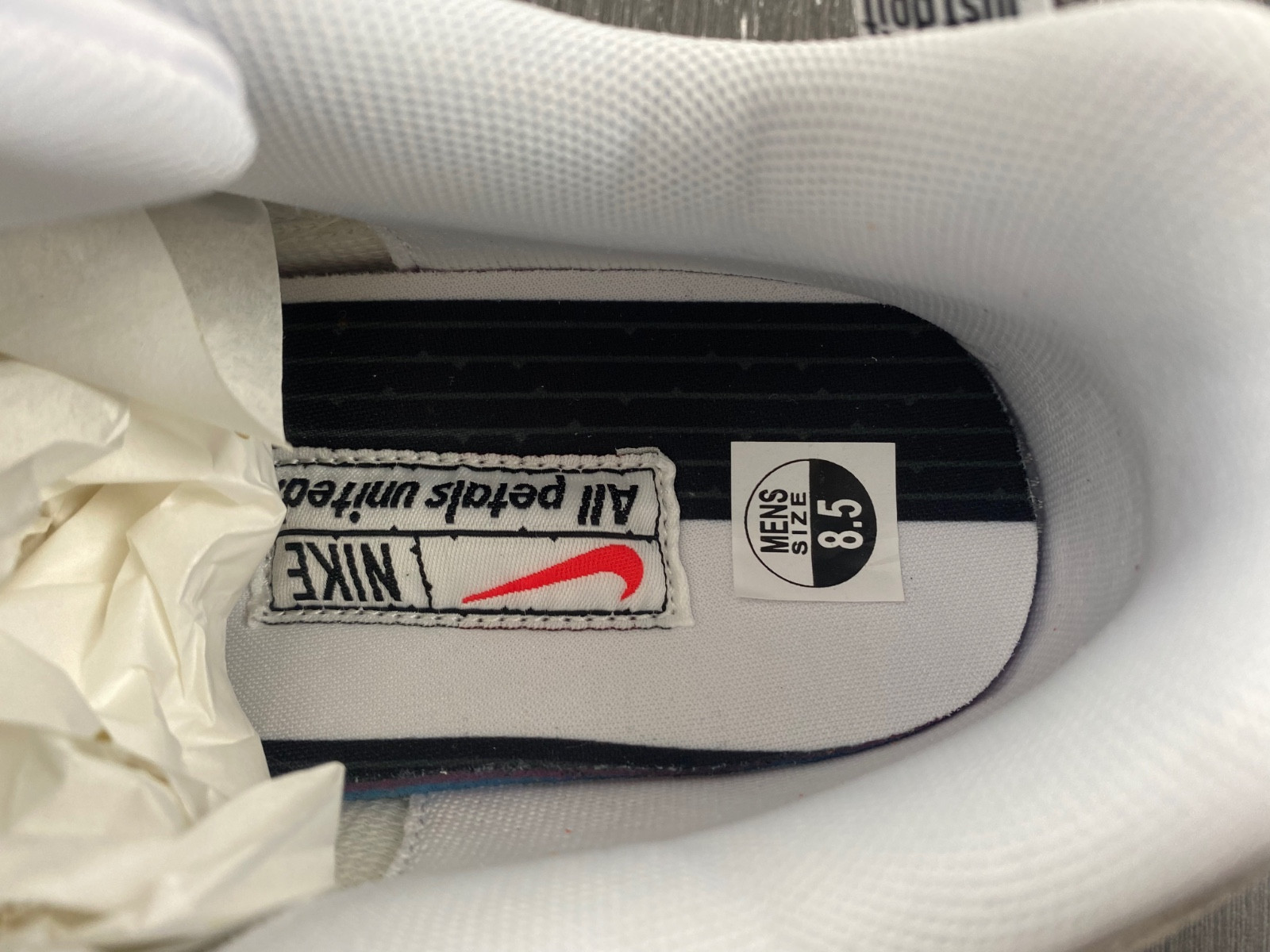 Nike Air Max 1 WMNS “All Petals United” FQ0256-131