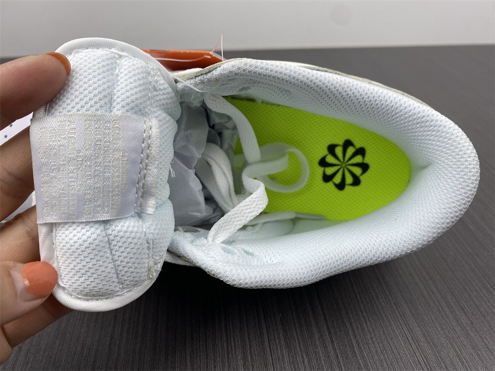 Nike Dunk Low Move To Zero DD1873-101