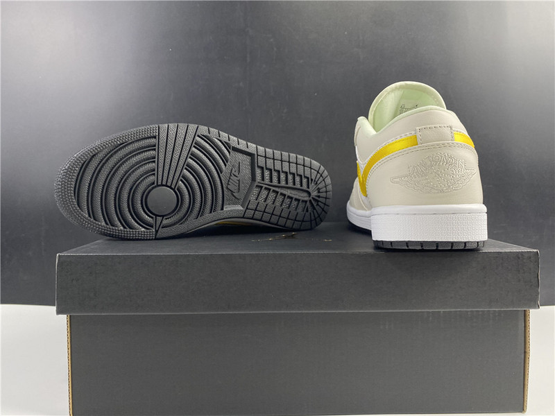 Air Jordan 1 Low Palm Tree CK3022-107