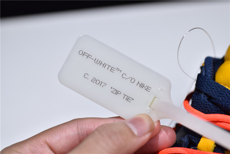 OF x Nike Dunk Low Michigan CT0856-700