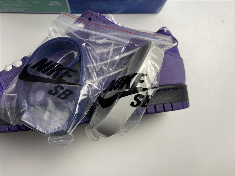 Nike SB Dunk Low Concepts Purple Lobster BV1310-555