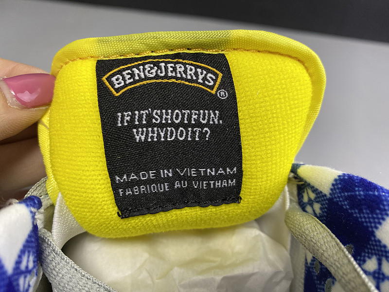 Nike SB Dunk Low Pro IW 318403-175