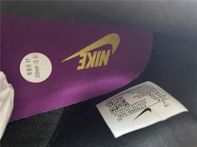 Nike Dunk Low “Viotech” CT5050-500