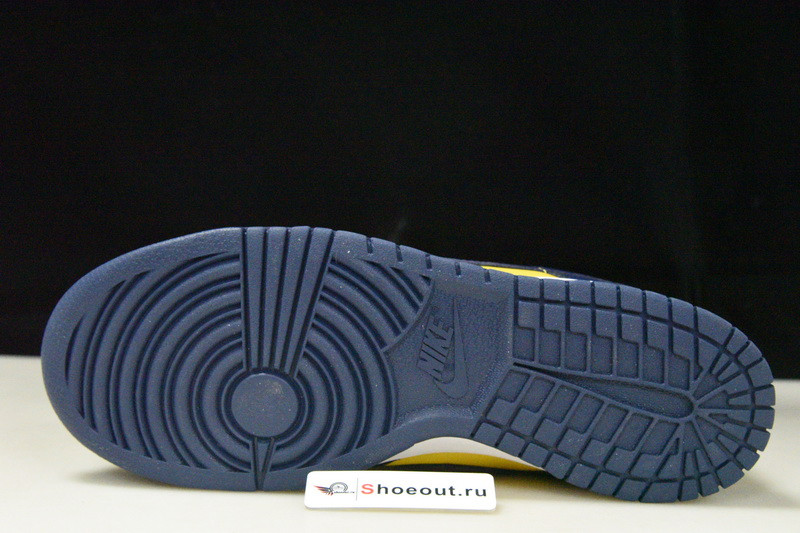 Nike Dunk Low “Michigan” DD1391-700
