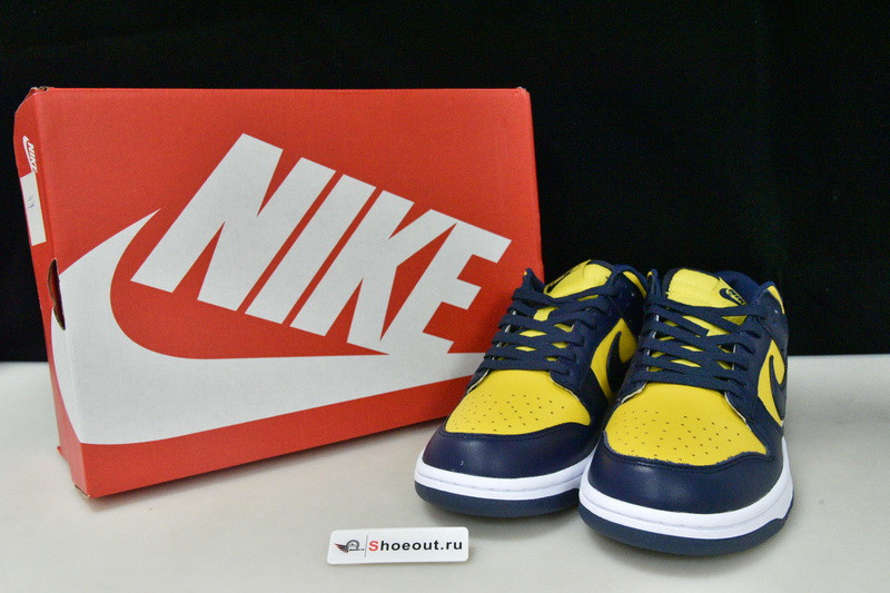 Nike Dunk Low “Michigan” DD1391-700