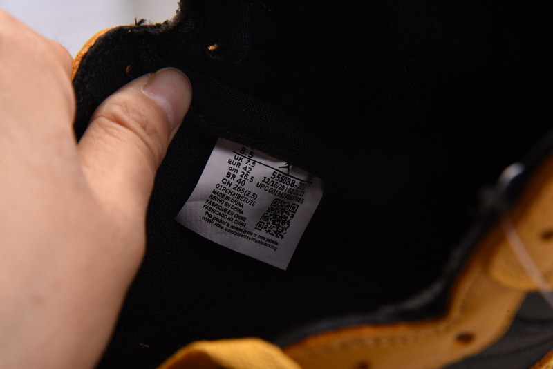 Air Jordan 1 High OG “Pollen” 555088-701