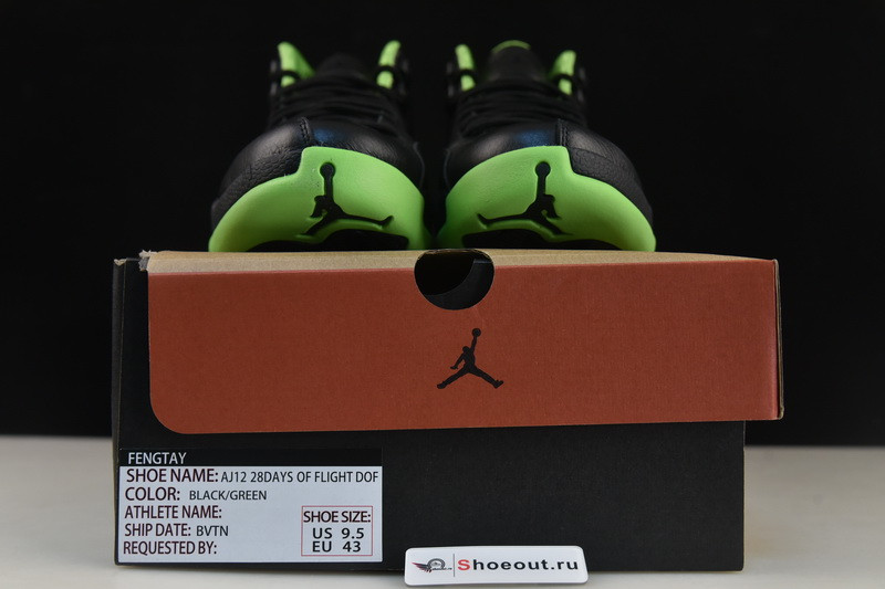 Air Jordan 12