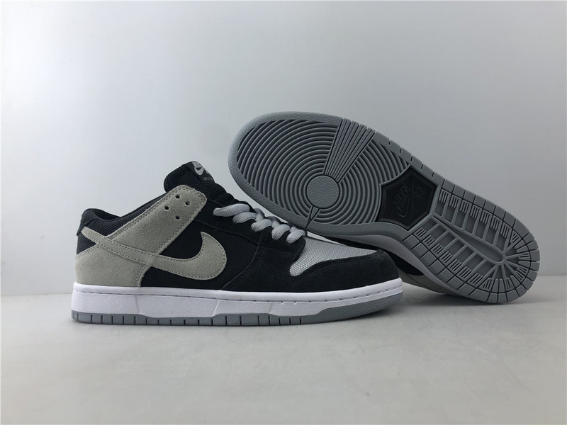 Zoom Dunk Low Pro SB
