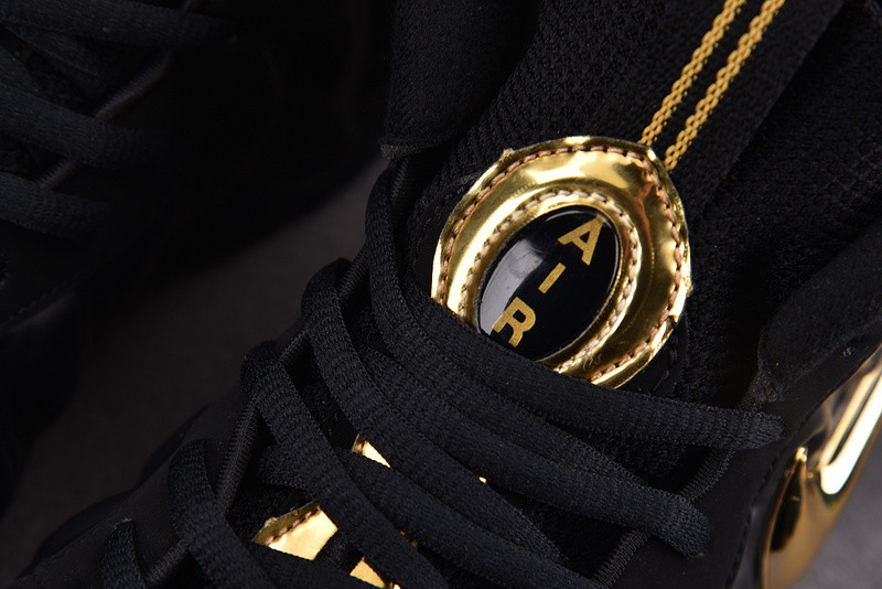 NK Air Foamposite Pro Black Metallic Gold 624041-009