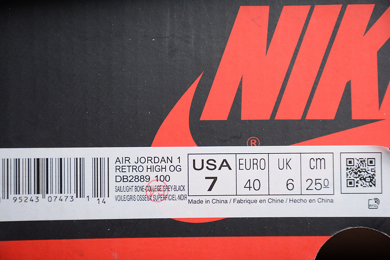 Air Jordan 1 Element "Gore-Tex" DB2889-100