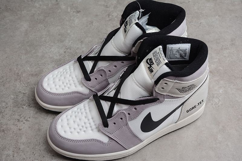 Air Jordan 1 Element "Gore-Tex" DB2889-100
