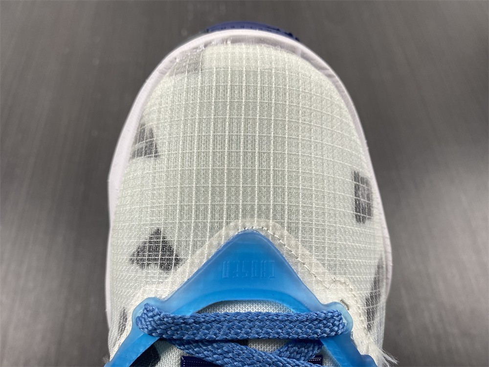 Nike Lebron 19 Space Jam DC9342-100