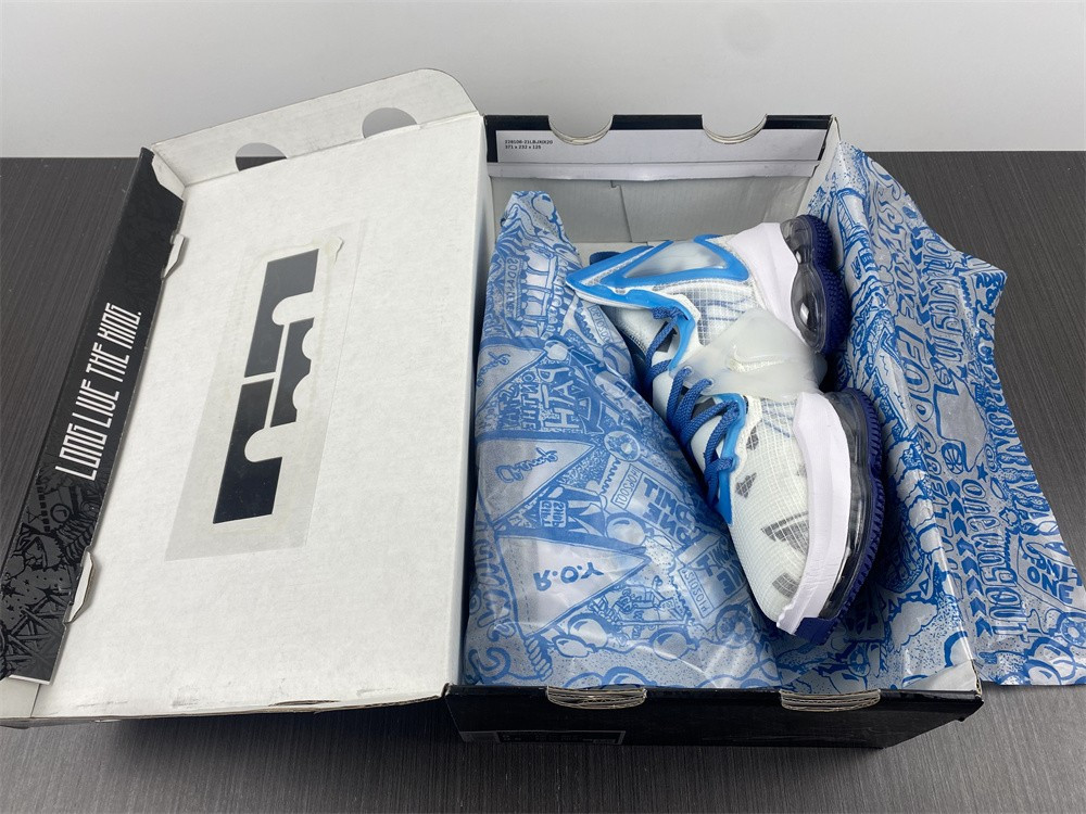 Nike Lebron 19 Space Jam DC9342-100