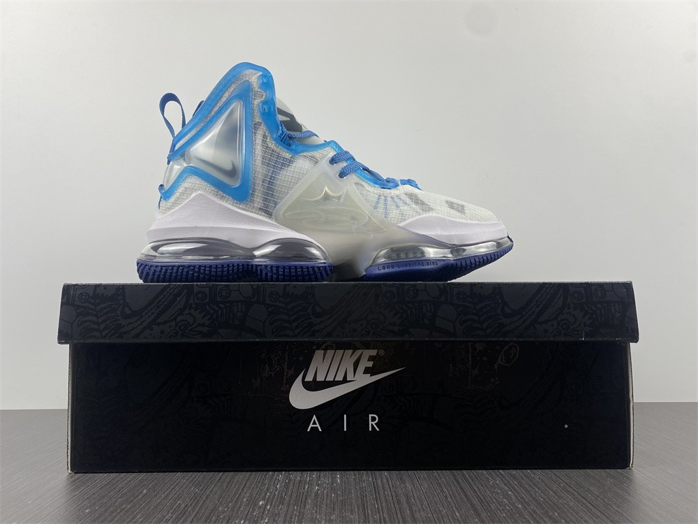 Nike Lebron 19 Space Jam DC9342-100