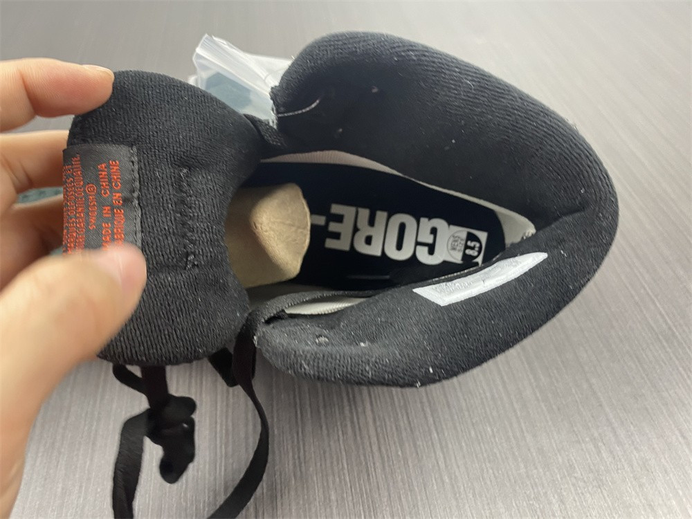 Air Jordan 1 Element Gore-Tex DB2889-001