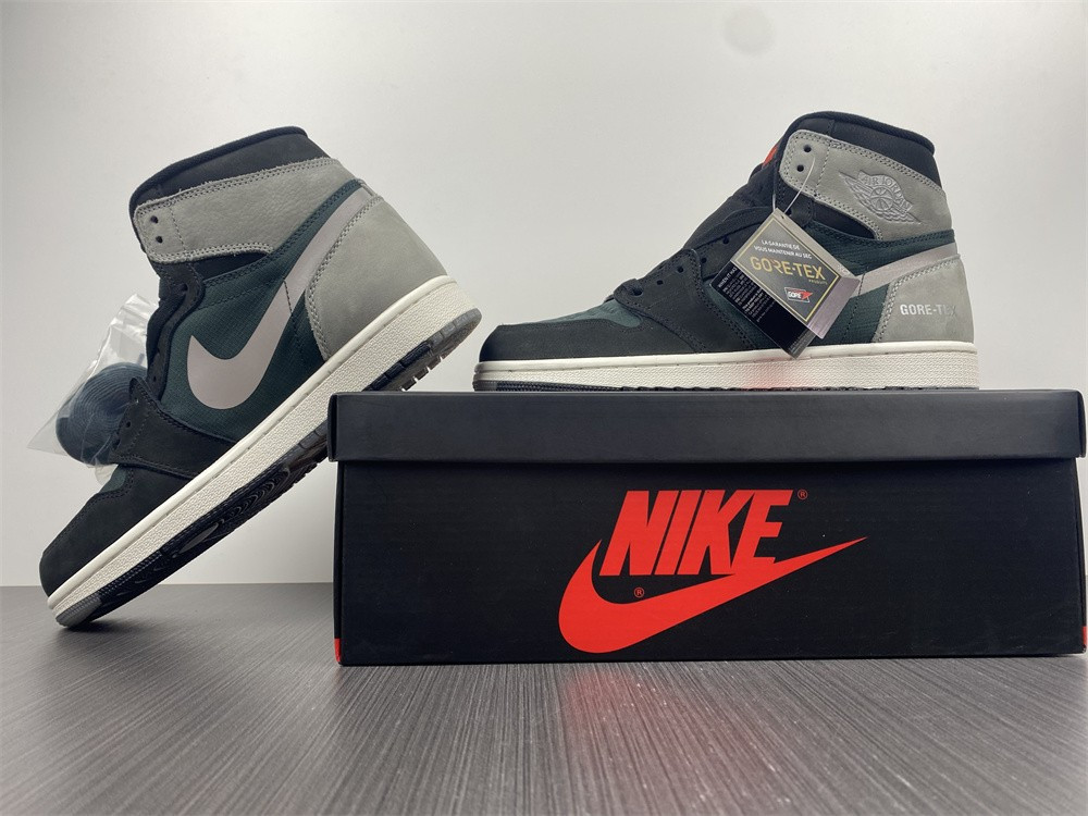 Air Jordan 1 Element Gore-Tex DB2889-001