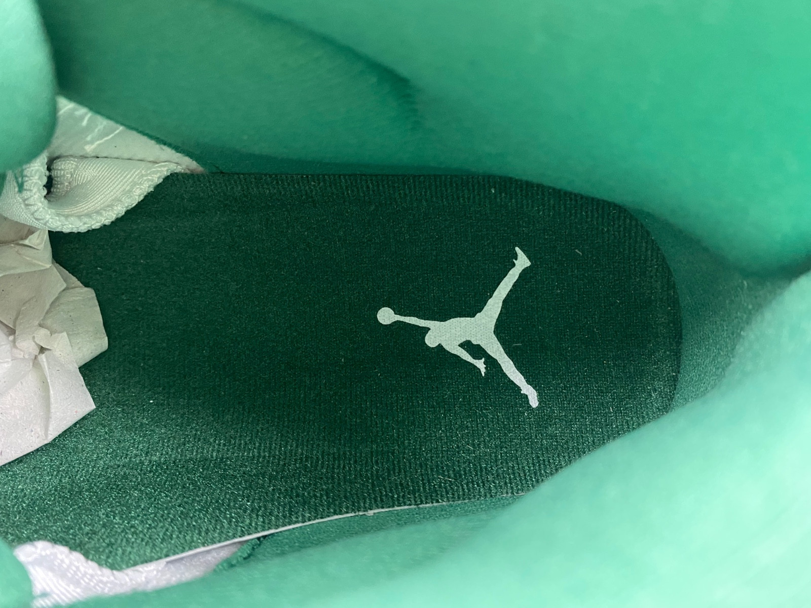 The Air Jordan 11 CT8012-113