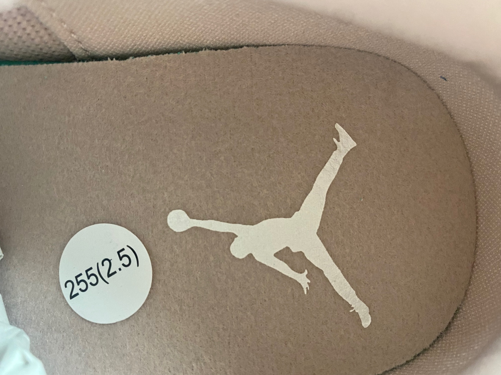 Air Jordan 4 PM “Pink Oxford” (W) FQ7940-600