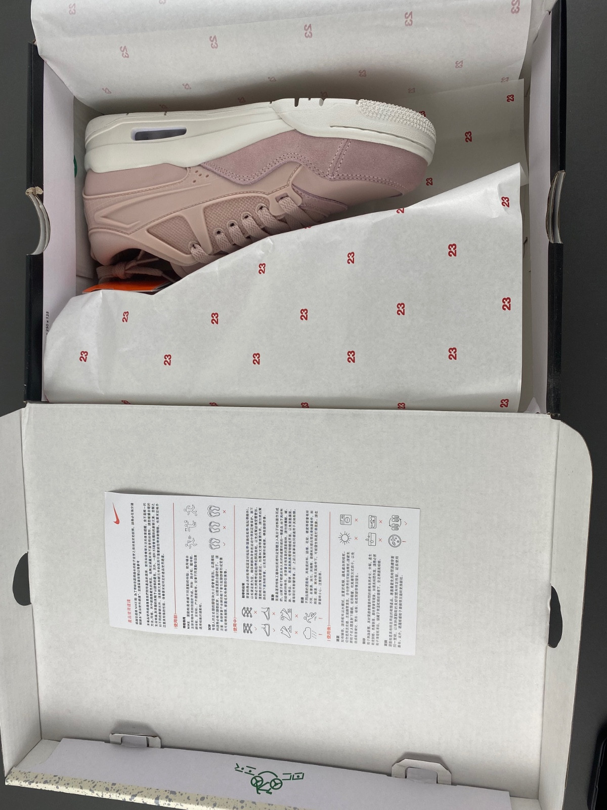 Air Jordan 4 PM “Pink Oxford” (W) FQ7940-600