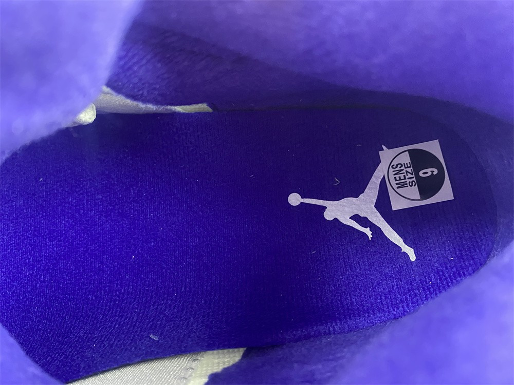 Air Jordan5 CONCORD DD0587-141