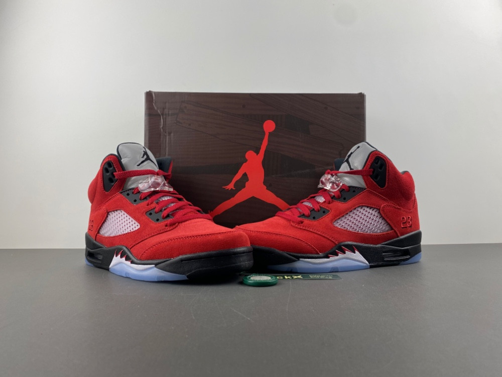 Air Jordan 5 CO0587-600