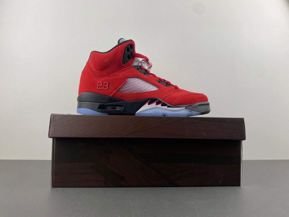 Air Jordan 5 CO0587-600