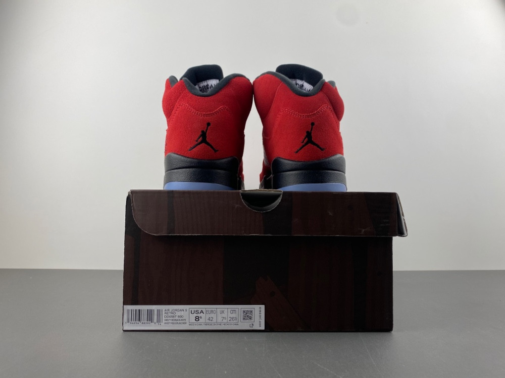 Air Jordan 5 CO0587-600