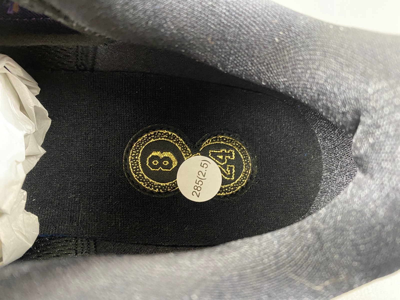 Nike Kobe 5 Protro “Year of the Mamba” IB4481-500