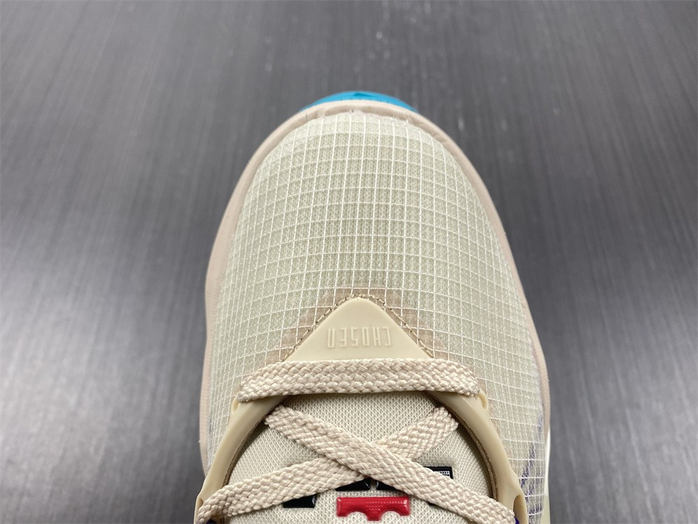 Nike LeBron 19 DC9341-200