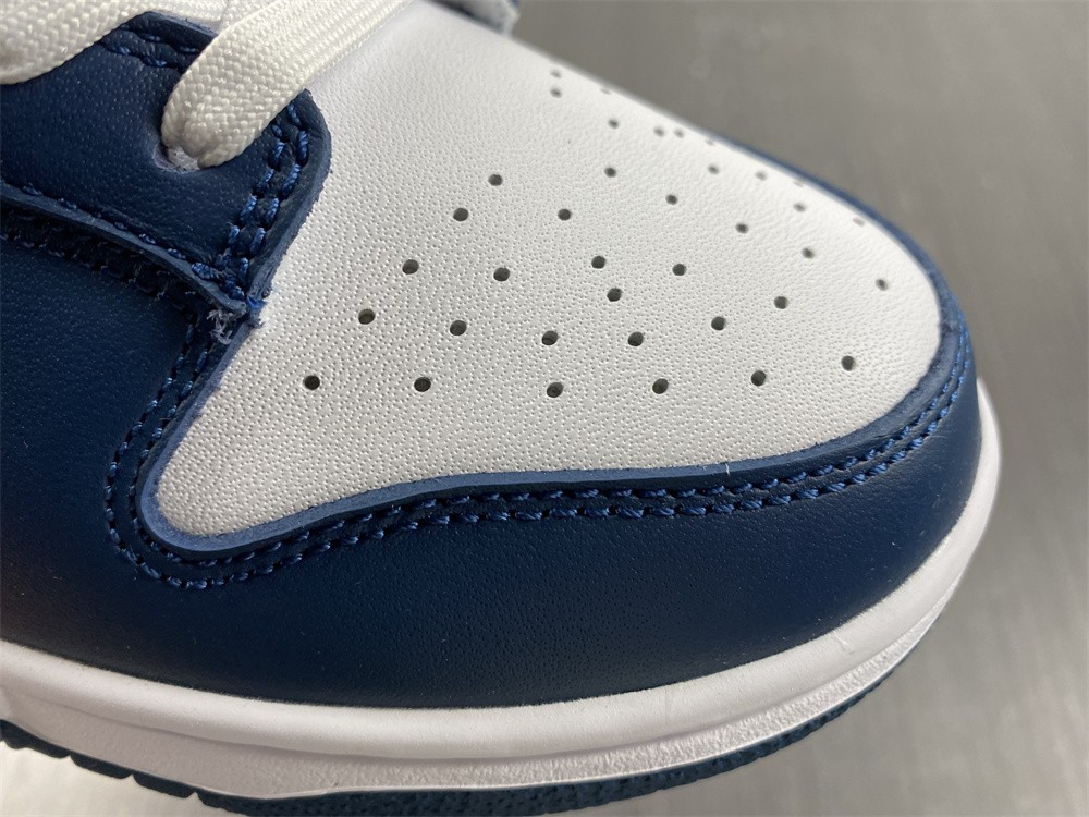 Nike dunk SB Low Retro Valerian Blue DD1391-400