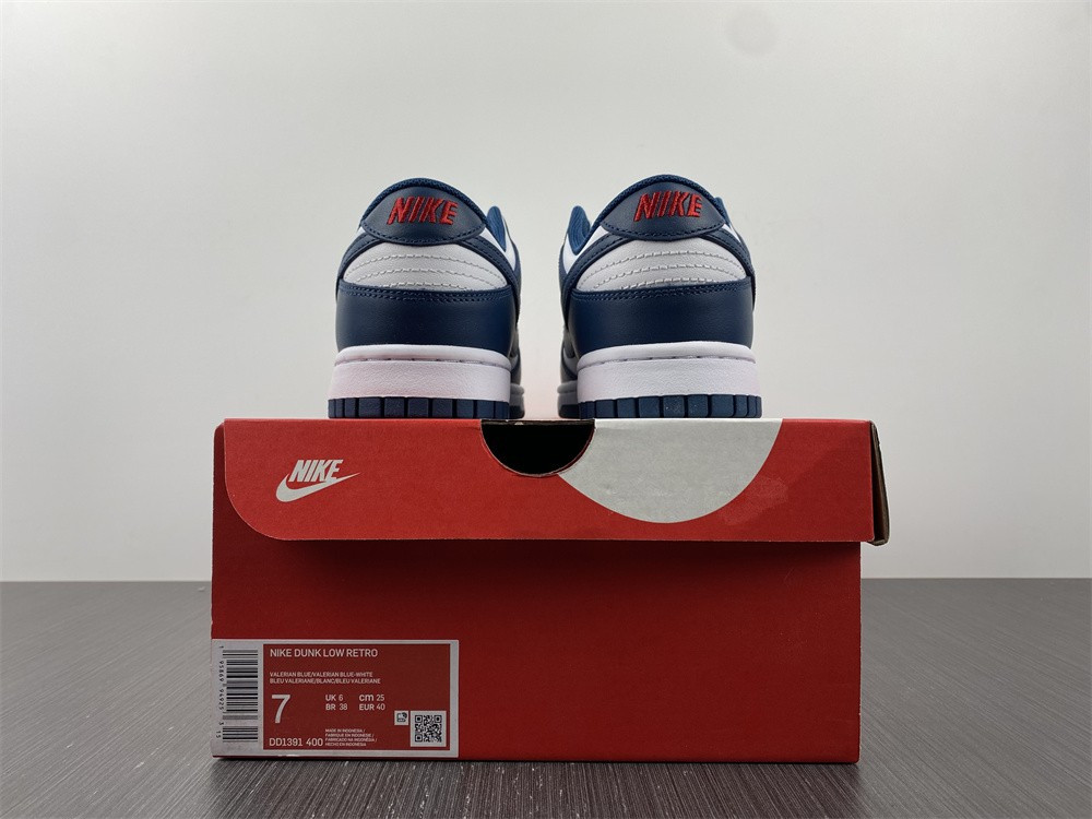 Nike dunk SB Low Retro Valerian Blue DD1391-400