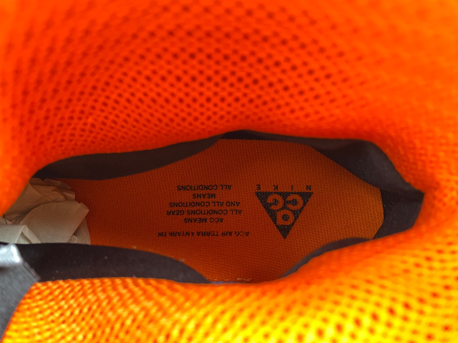 Nike ACG Terra Antarktik GORE-TEX Juniper Fog BV6348-300