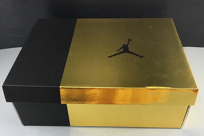 JORDAN 6 RETRO DMP (2020) - CT4954-007