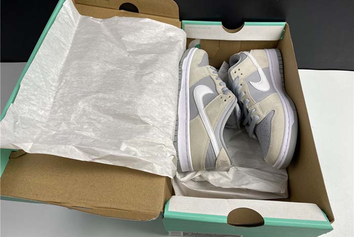【TOM】Nike Dunk SB L TRD AR0778-110