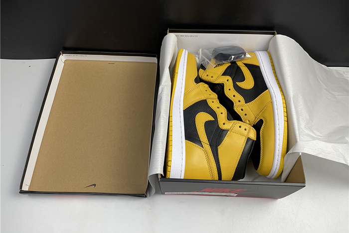 Air Jordan 1 High OG “Pollen 555088-701