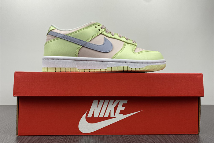 Nike Dunk Low DD1503-600