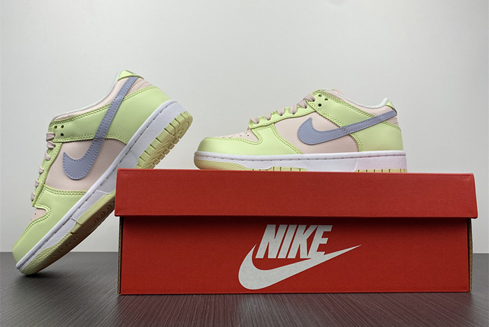 Nike Dunk Low DD1503-600