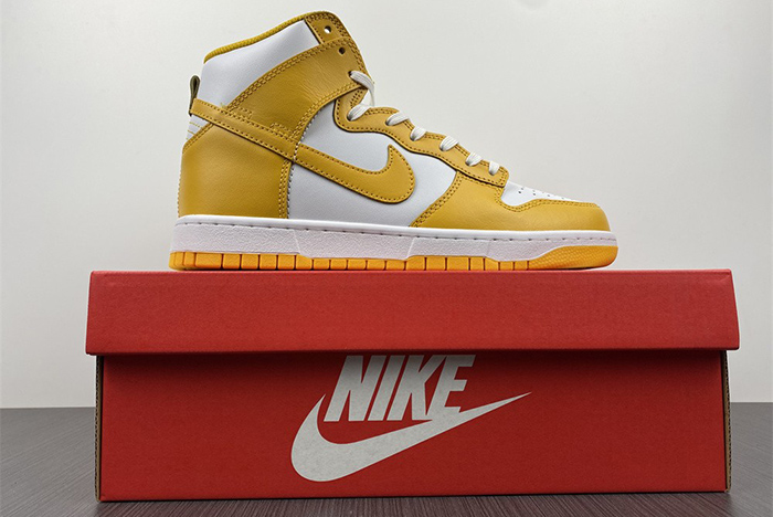Nike Dunk High DD1869-106