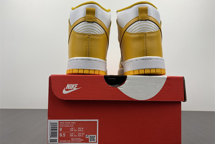Nike Dunk High DD1869-106