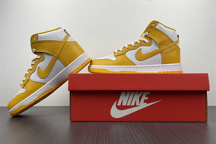 Nike Dunk High DD1869-106