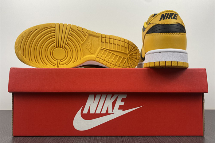 Nike Dunk Low Takes on a Familiar “Goldenrod” Colorwa  DD1391-004