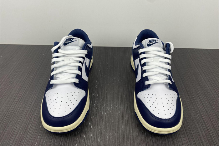 Nike Dunk Low DD1503-115