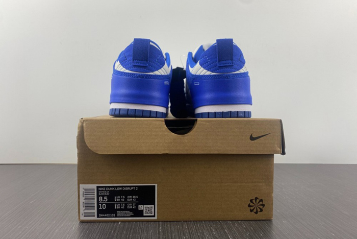 Nike Dunk Low Disrupt2 DH4402-102