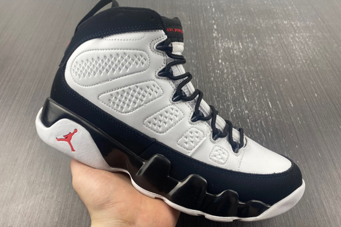 Air Jordan 9 302370-112
